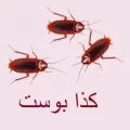 تفسير رؤية الصراصير jpg