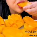 رؤية المنجا