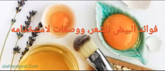 فوائد البيض للشعر