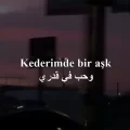 شعر عن العشق