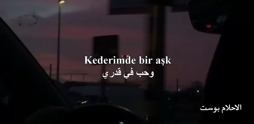 شعر عن العشق