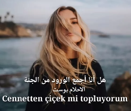 شعر عن الحب