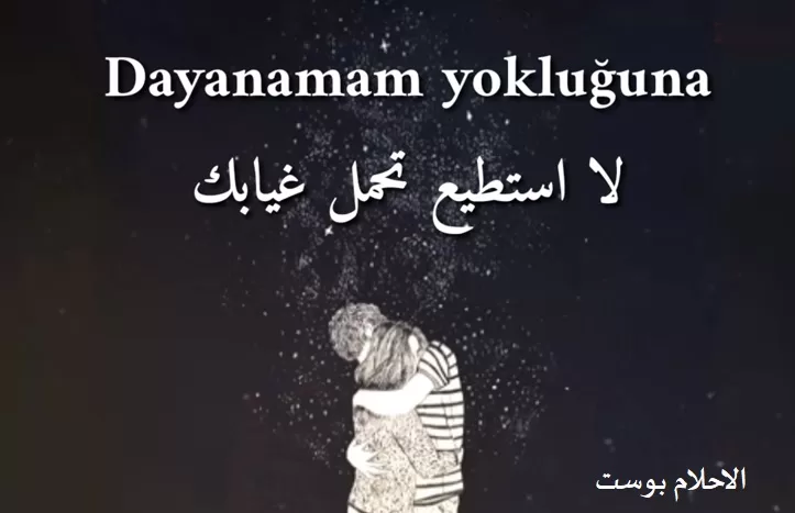 شعر عربي عن الحب