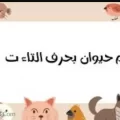 اسم حيوان بحرف التاء